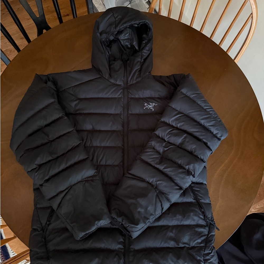 Arc'teryx Black Cerium Hoody Puffer Jacket